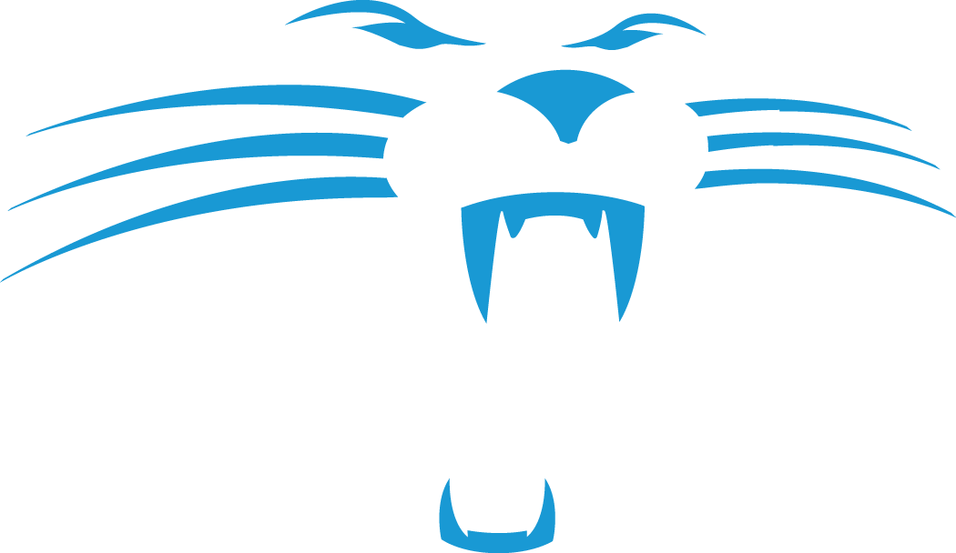 Carolina Panthers 1995-2011 Alternate Logo t shirt iron on transfers version 3